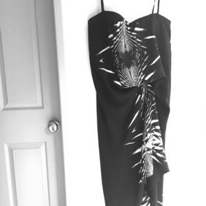 BCBG Max Azria Runway corset dress